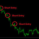 ピラミッティング